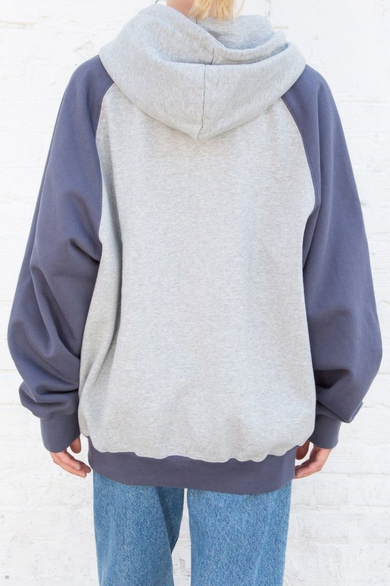 Sweat a Capuche Brandy Melville Christy Color Block Bleu Marine Grise | AQB-39232066